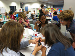 STEM professional development